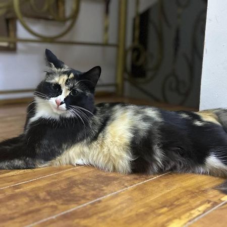 Guesto Hostel Ташкент Екстер'єр фото